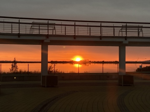 pic