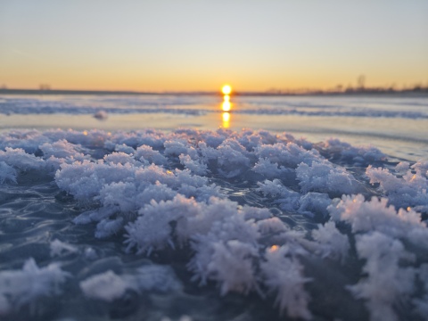 pic