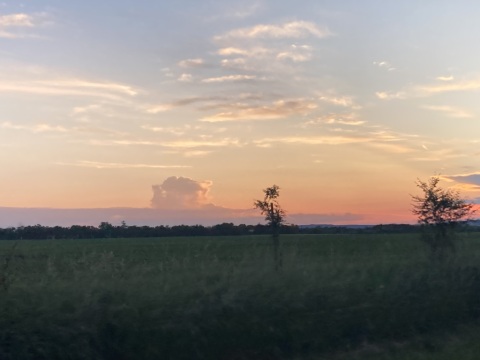 pic