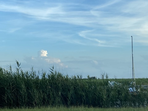 pic