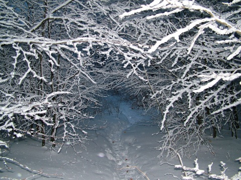pic