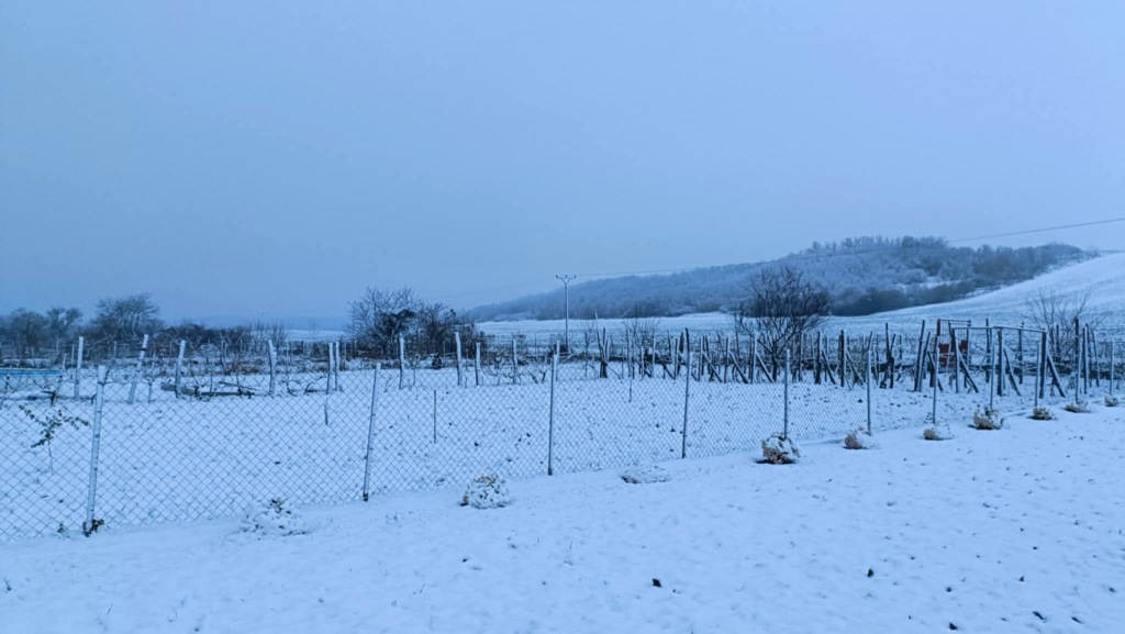 beillesztett kép