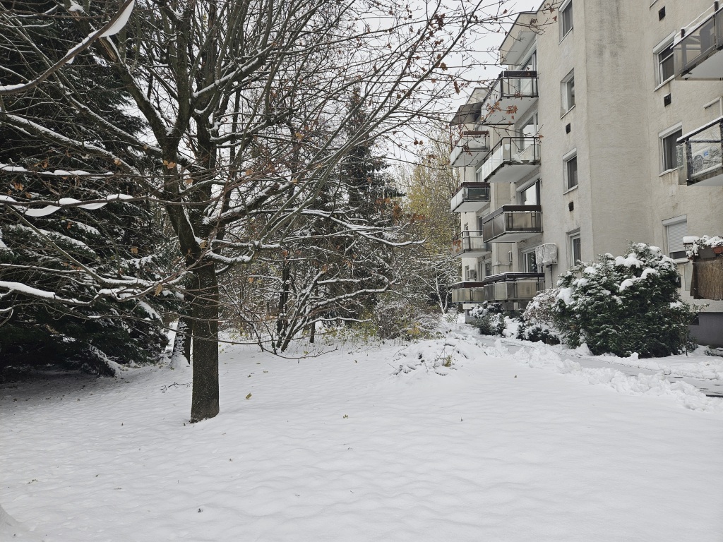 beillesztett kép