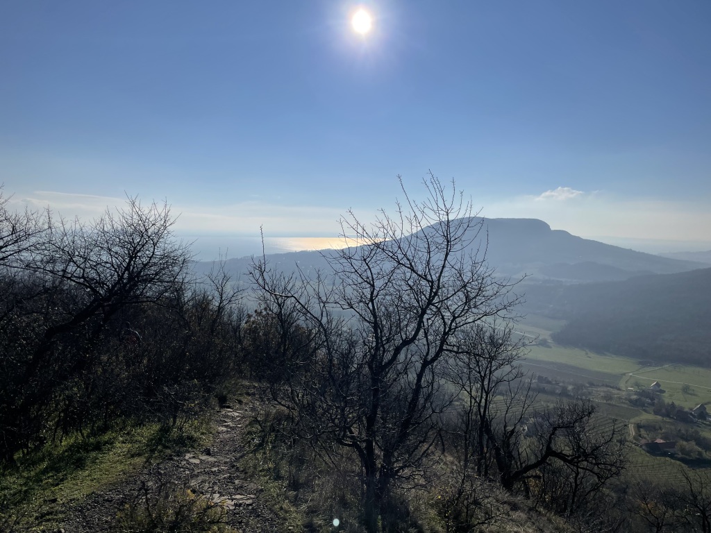 beillesztett kép