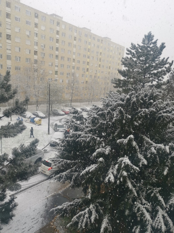 beillesztett kép