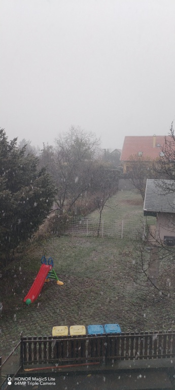beillesztett kép