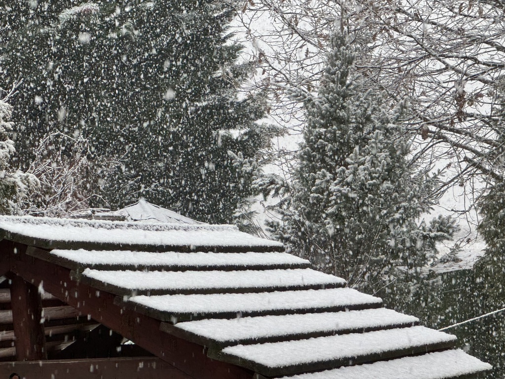 beillesztett kép