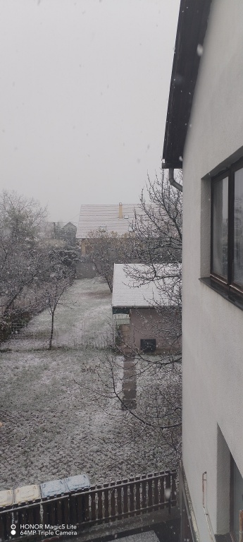 beillesztett kép