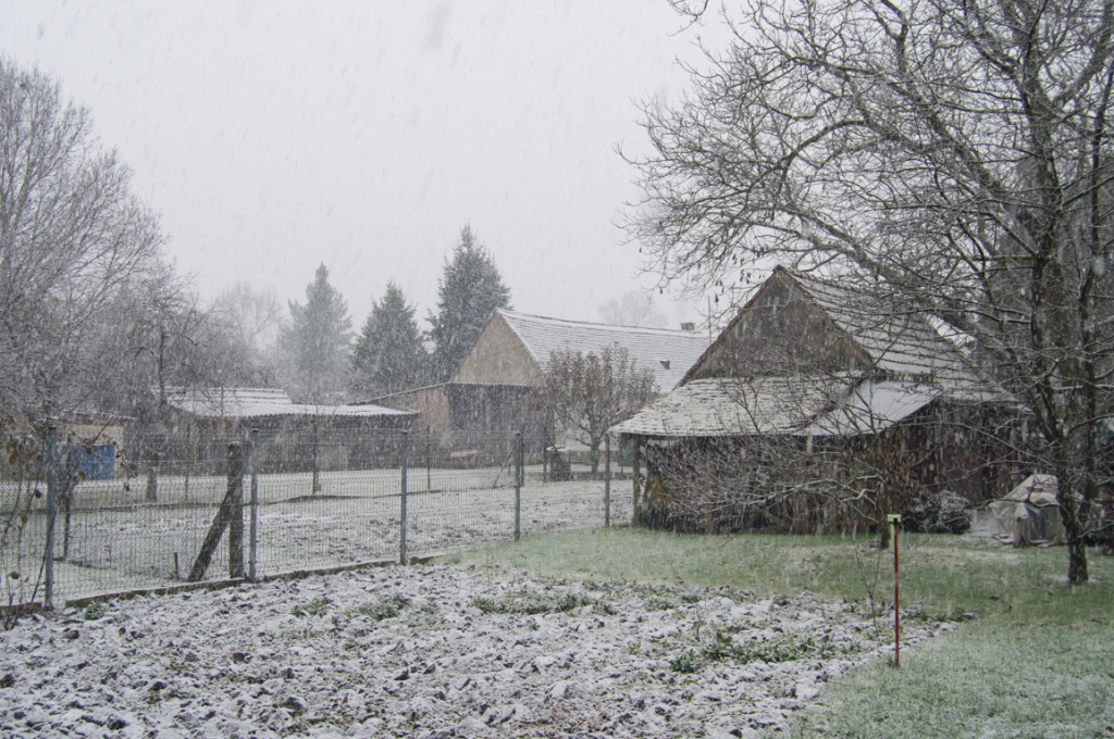 beillesztett kép