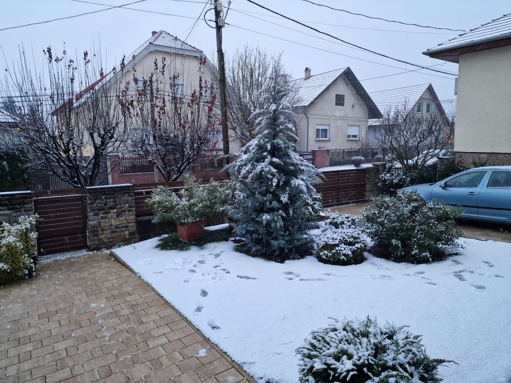 beillesztett kép