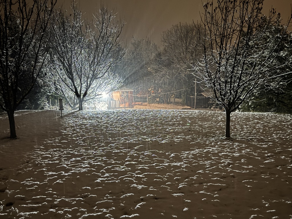 beillesztett kép