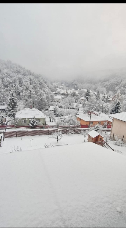 beillesztett kép