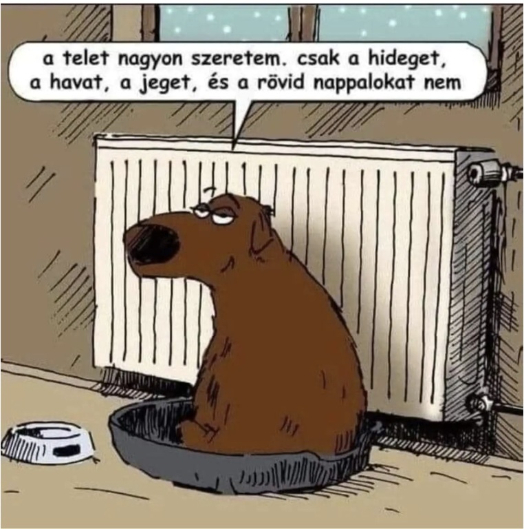 beillesztett kép