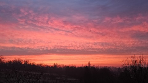 pic