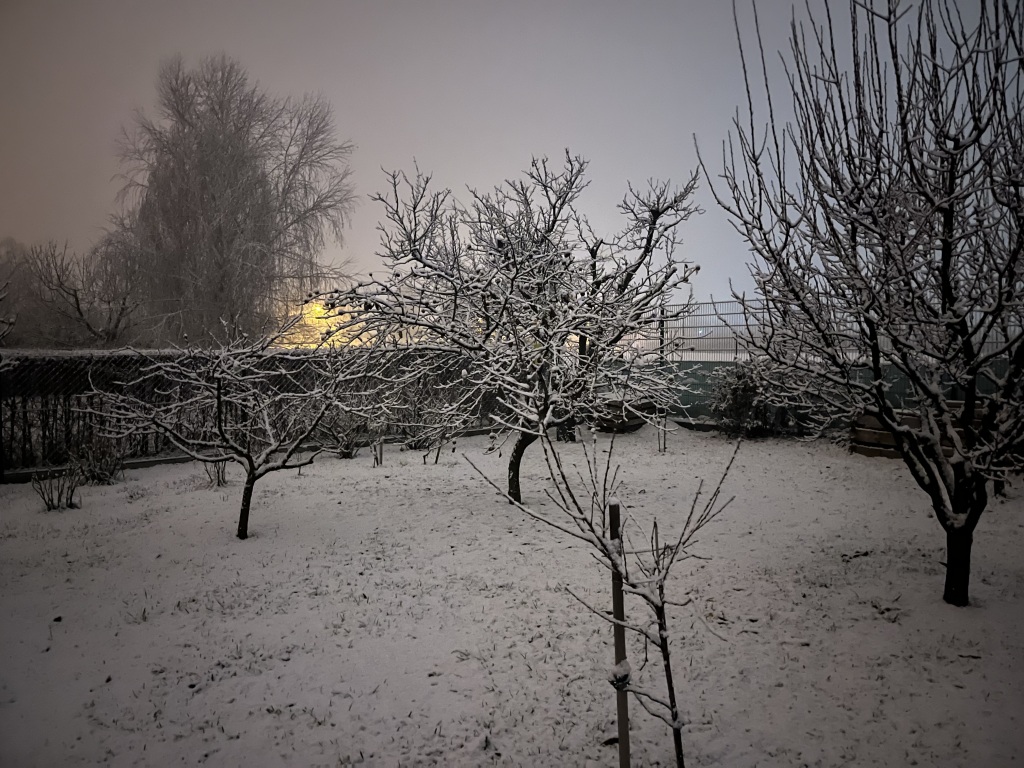 beillesztett kép