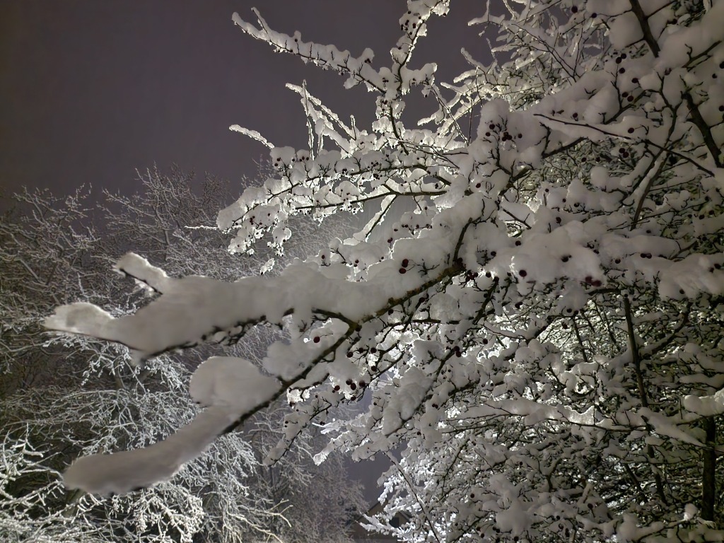 beillesztett kép
