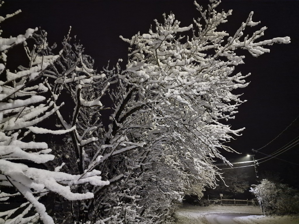 beillesztett kép