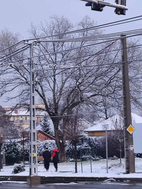 beillesztett kép
