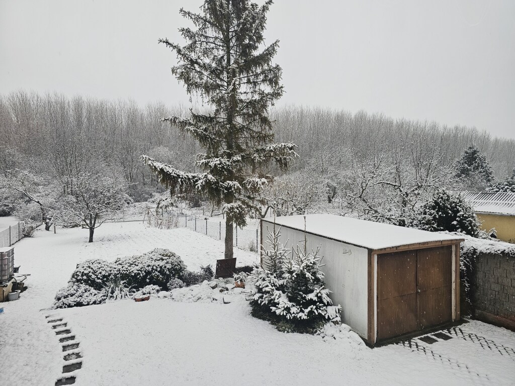 beillesztett kép