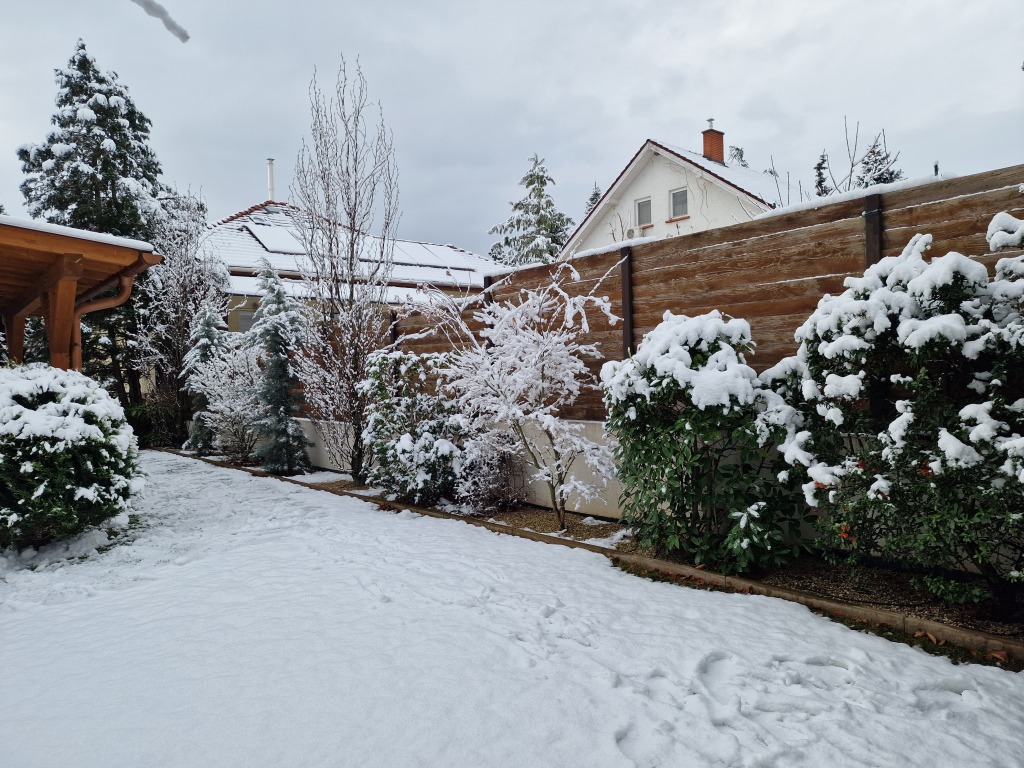 beillesztett kép