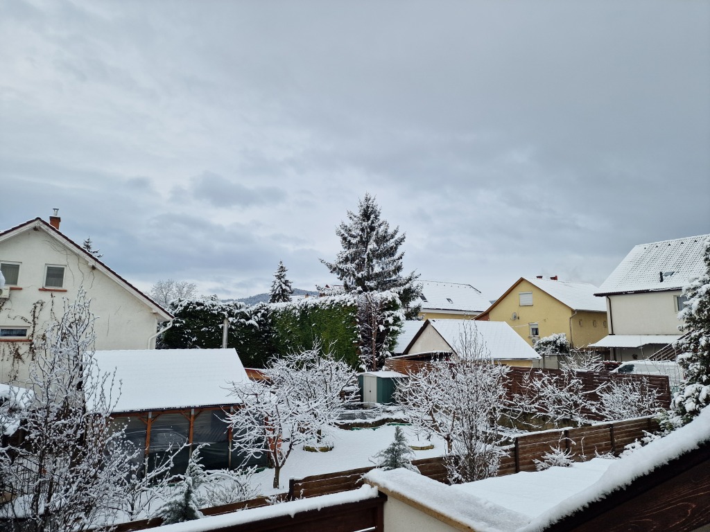 beillesztett kép