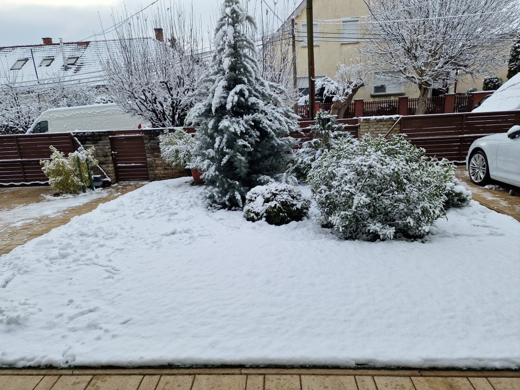 beillesztett kép