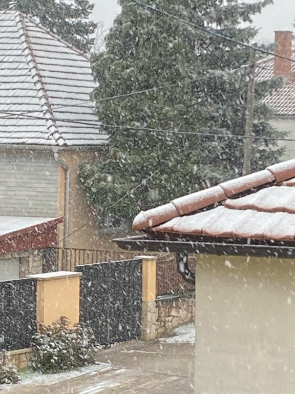 beillesztett kép