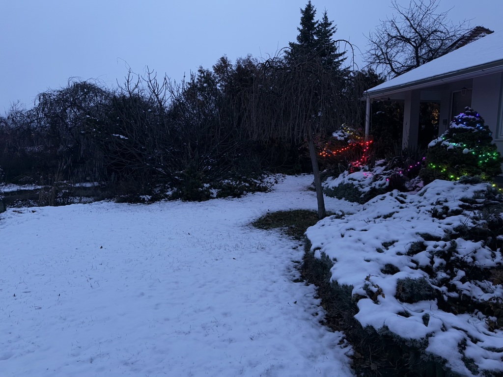 beillesztett kép