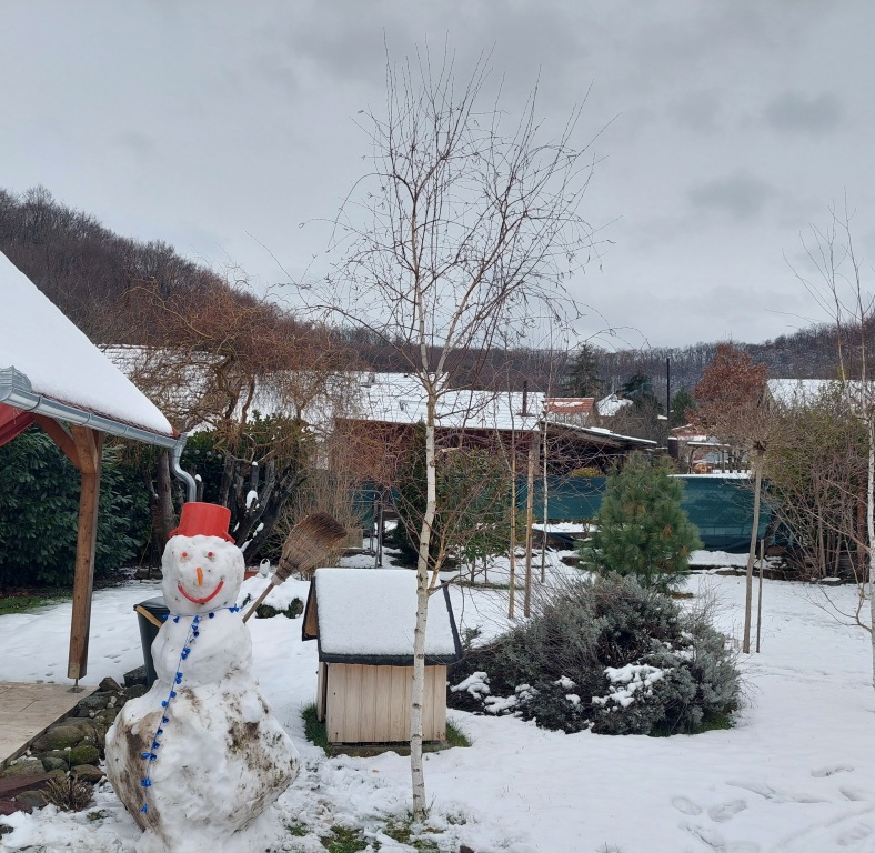 beillesztett kép