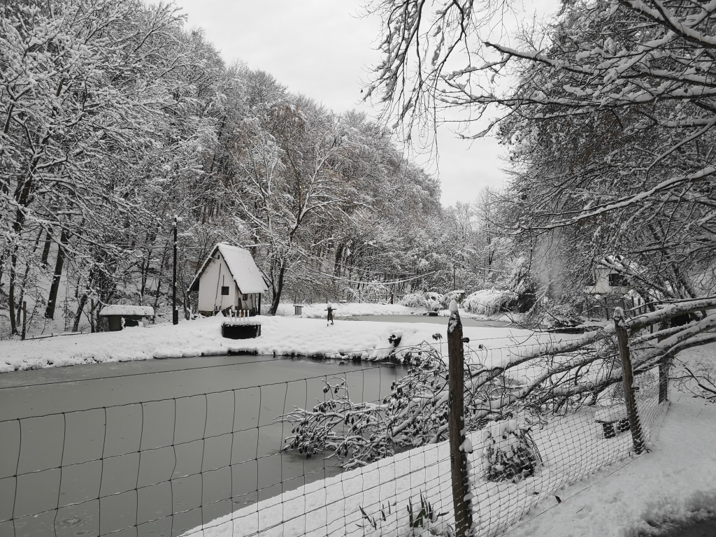 beillesztett kép