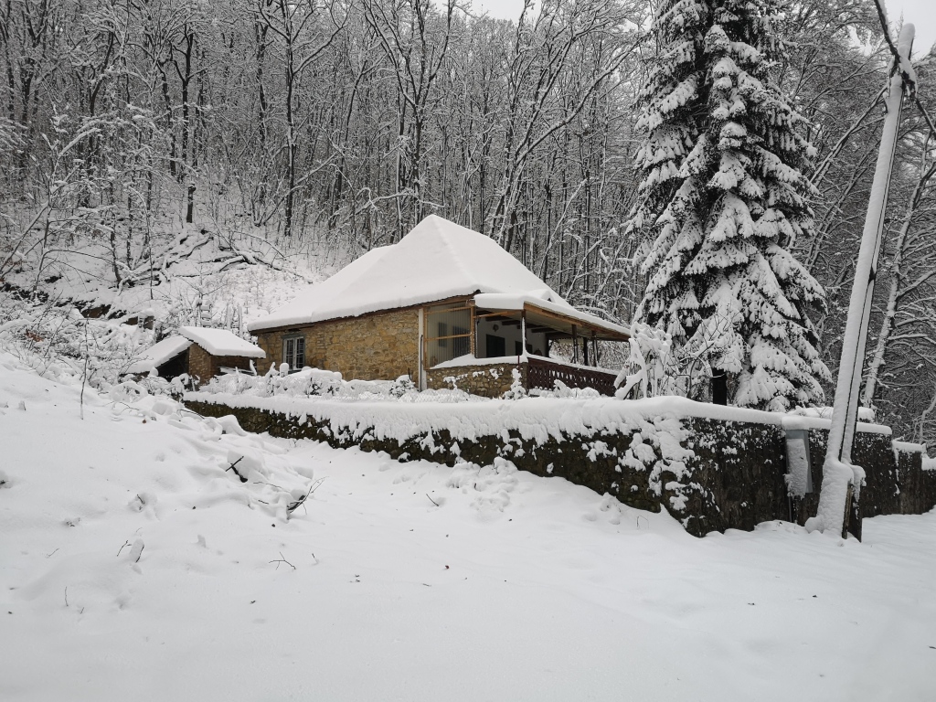 beillesztett kép