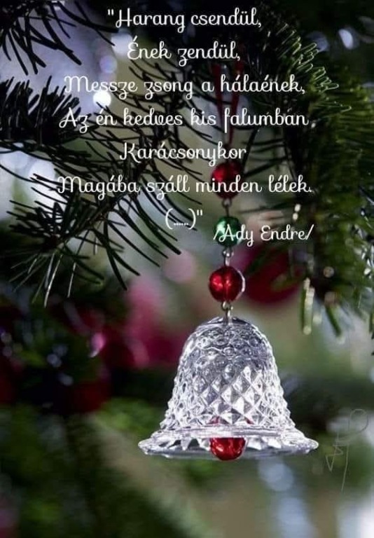 beillesztett kép