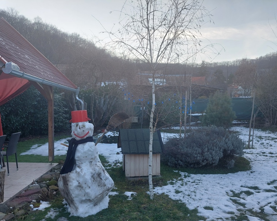 beillesztett kép
