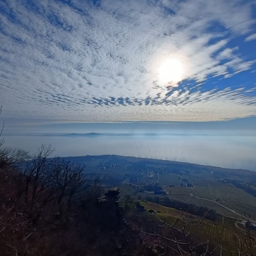 pic