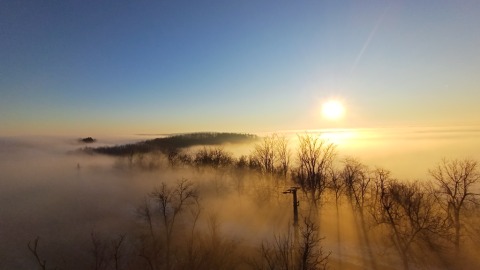 pic