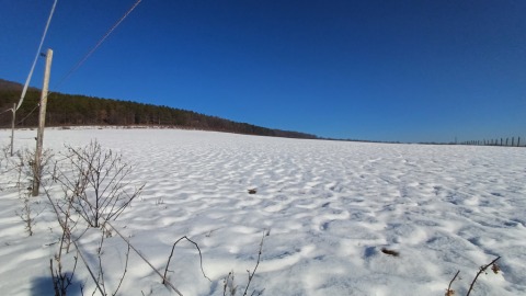 pic