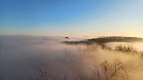 pic