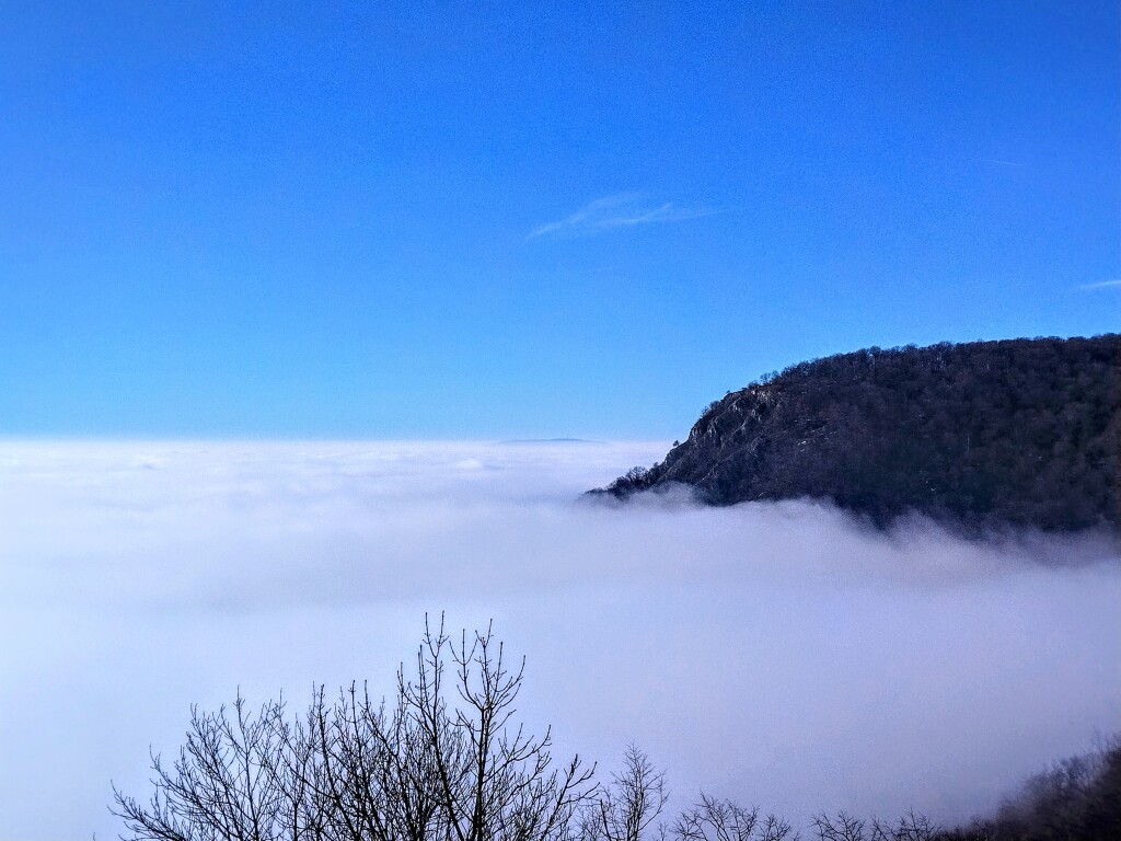 beillesztett kép