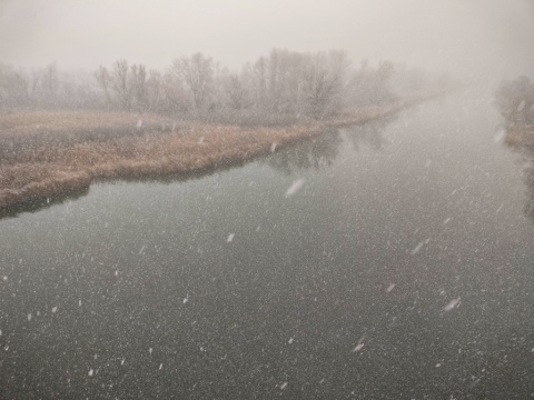 pic