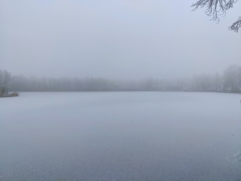 pic