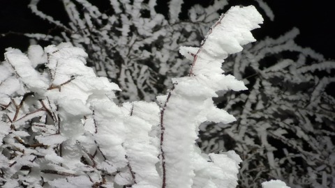 pic