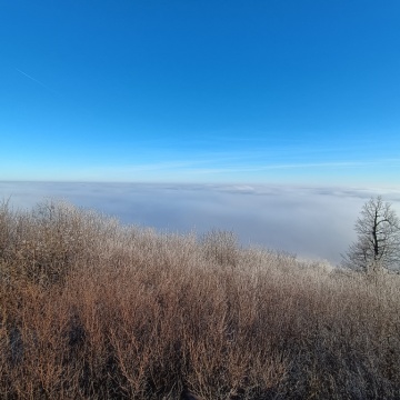 pic