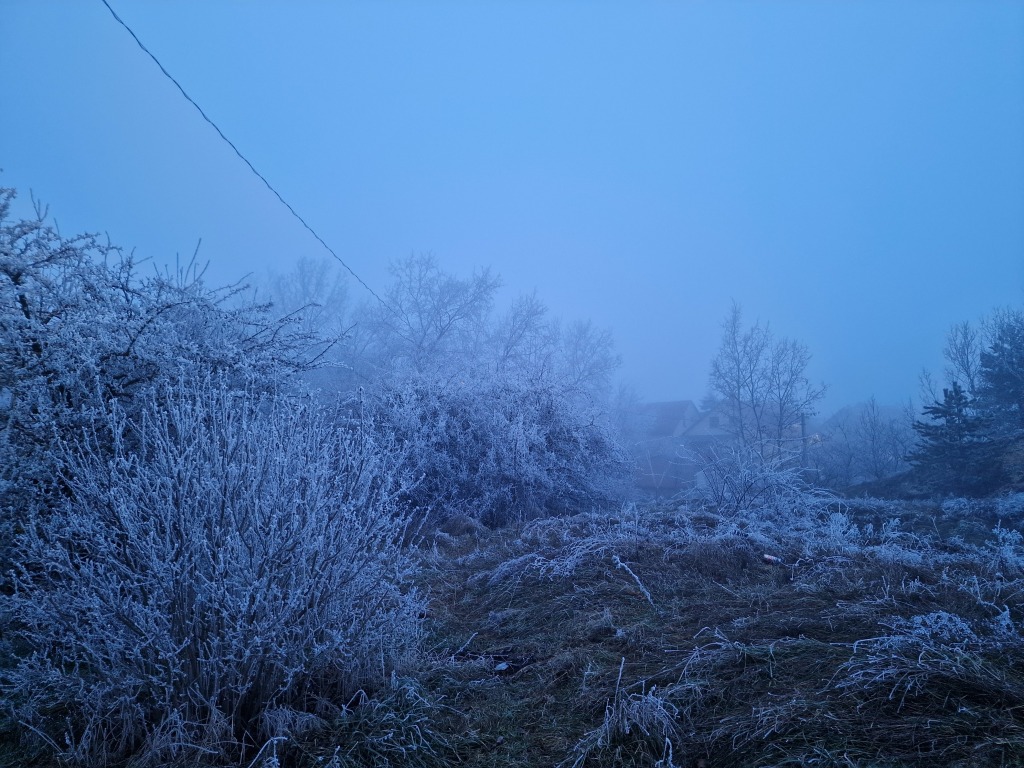 beillesztett kép