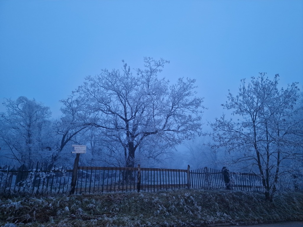 beillesztett kép