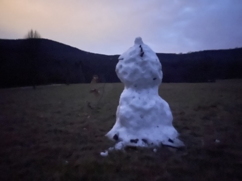 pic