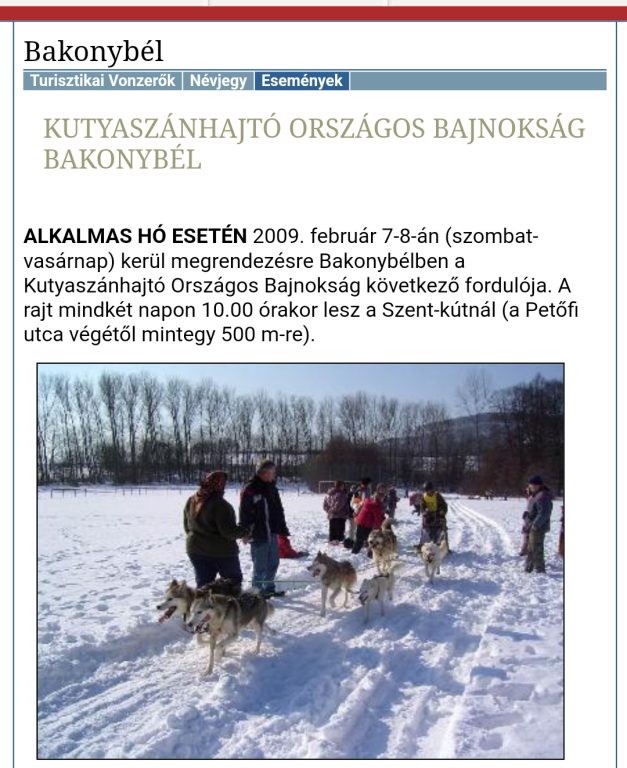 beillesztett kép