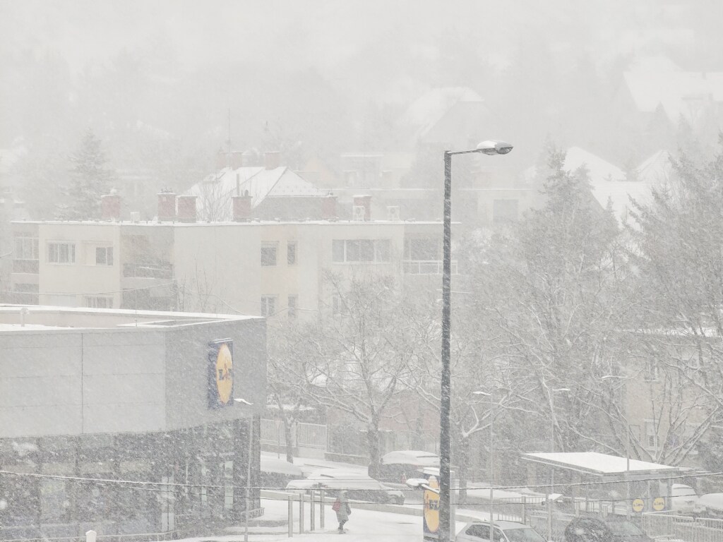 beillesztett kép