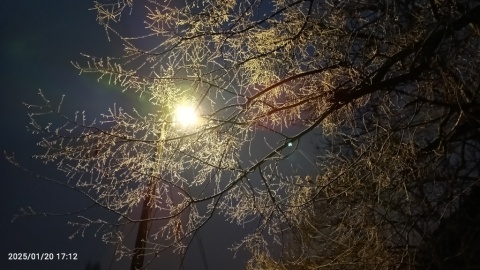 pic