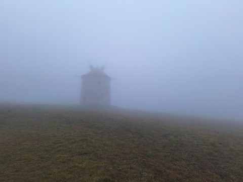 pic
