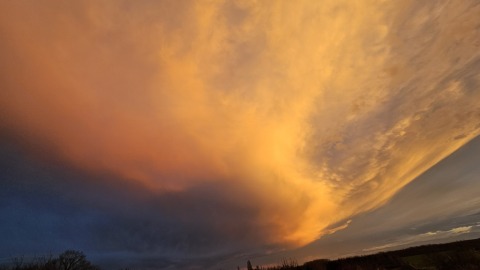 pic